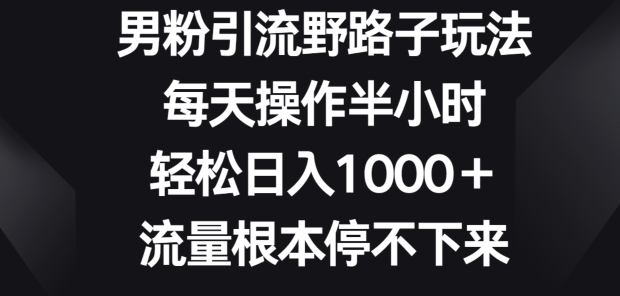 男粉引流野路子玩法，每天操作半小时轻松日入1000+，流量根本停不下来-云网创资源站