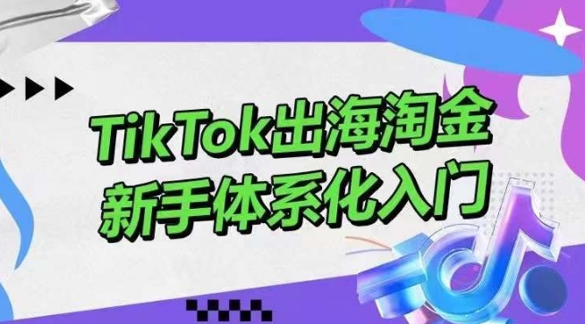 TikTok出海淘金，新手体系化入门，零基础快速入门，掌握短视频、直播带货等引流到变现的知识-云网创资源站