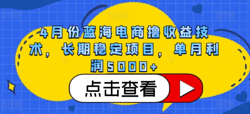 4月份蓝海电商撸收益技术，长期稳定项目，单月利润5000+【揭秘】-云网创资源站