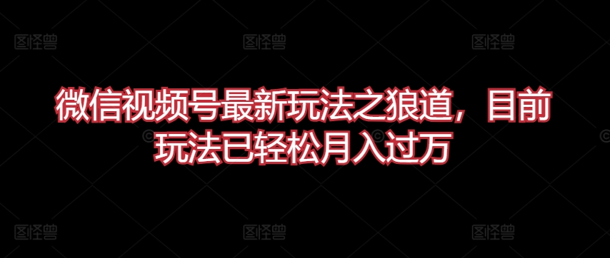 微信视频号最新玩法之狼道，目前玩法已轻松月入过万【揭秘】-云网创资源站