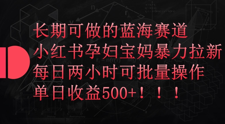 长期可做的蓝海赛道，小红书孕妇宝妈暴力拉新玩法，每日两小时可批量操作，单日收益500+【揭秘】-云网创资源站