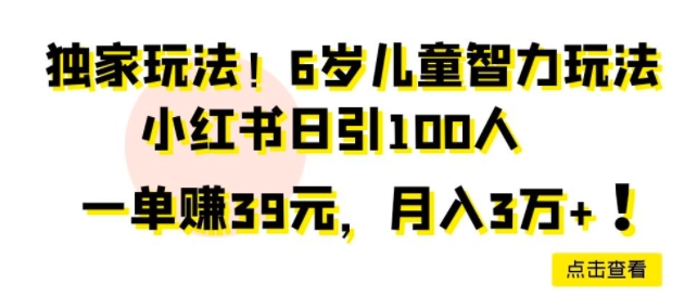 独家玩法，6岁儿童智力玩法，小红书日引100人-云网创资源站