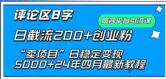 抖音评论区8字日截流200+创业粉 “卖项目”日稳定变现5000+【揭秘】-云网创资源站