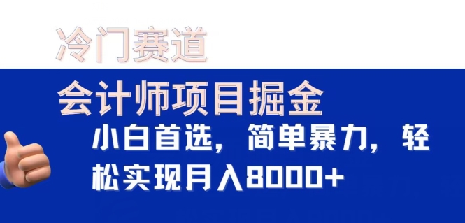 冷门赛道，会计师项目掘金，小白首选，简单暴力，轻松实现月入8000+-云网创资源站