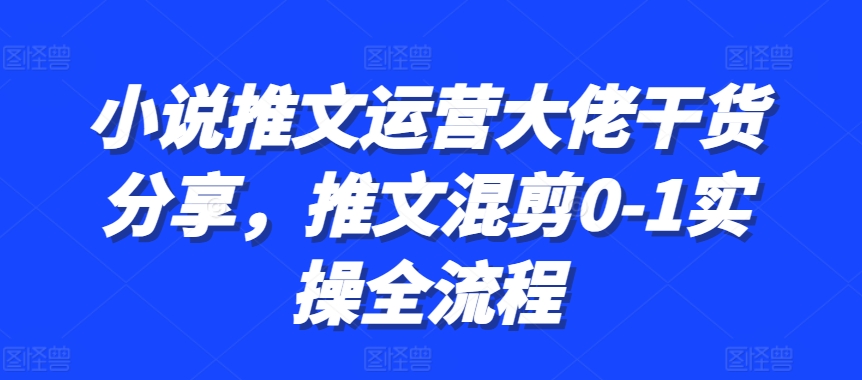 小说推文经营巨头满满干货，文章剪辑0-1实际操作全过程-云网创资源站