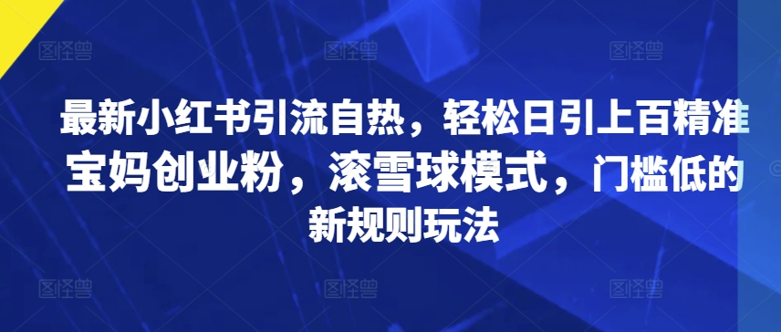 全新小红书引流自然，轻轻松松日引几百精确宝妈创业粉，稳赚方式，成本低的新规游戏玩法-云网创资源站