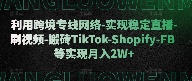 运用跨境专线互联网-实现稳定直播间-刷短视频-打金TikTok-Shopify-FB等实现月入2W 【揭密】-云网创资源站