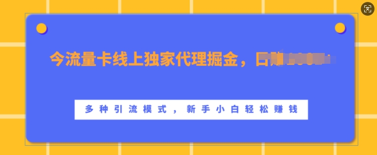 上网卡网上独家经营掘金队，日入1k ，多种多样引流方法方式，新手入门快速上手【揭密】-云网创资源站