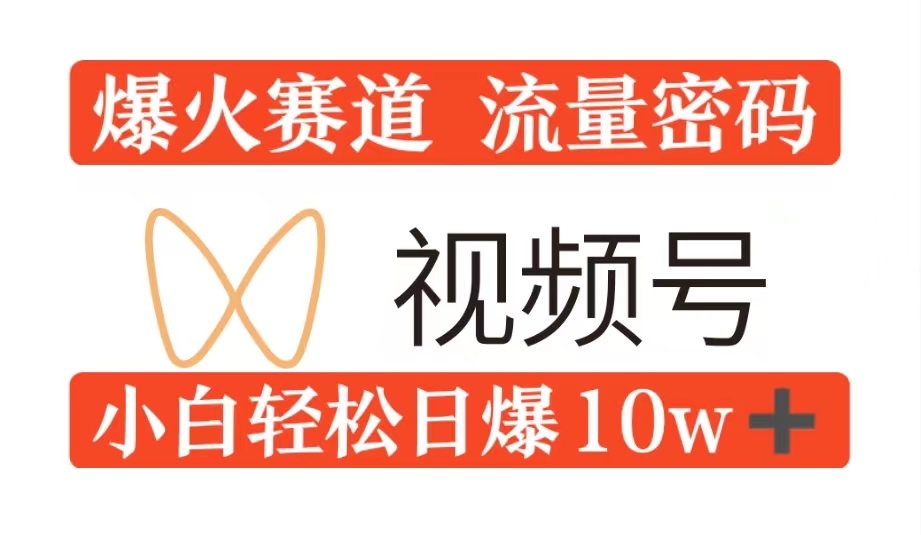 0粉在视频号爆火赛道流量密码，模式全方位，小白轻松日爆10w+流量-云网创资源站