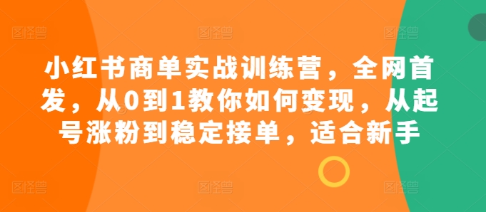 小红书的商单实战演练夏令营，独家首发，从0到1教大家如何盈利，从养号增粉到平稳接单子，适合新手-云网创资源站