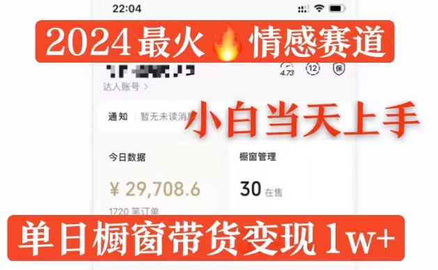 2024最红情绪跑道单月转现破万，多平台分发，100%原创设计游戏玩法，新手当日入门-云网创资源站