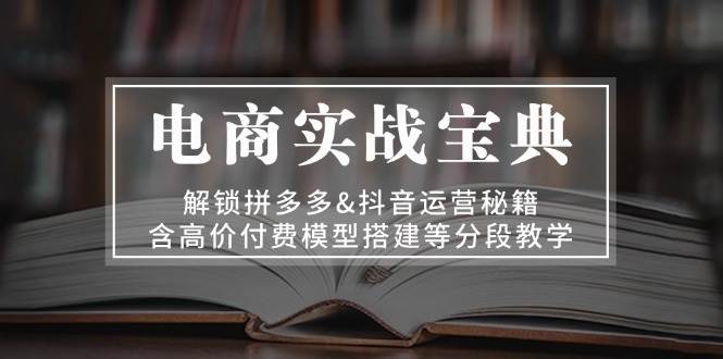 电子商务实战演练秘笈：开启拼多多平台&自媒体运营秘笈，含高价位付钱模型搭建等按段课堂教学-云网创资源站