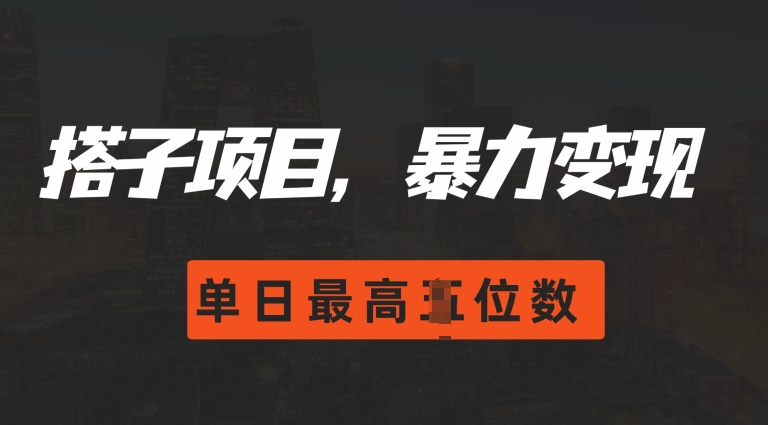 2024搭子玩法，0门槛，暴力变现，单日最高破四位数【揭秘】-云网创资源站