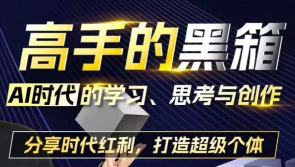 高手的黑箱：AI时代学习、思考与创作-分红时代红利，打造超级个体-云网创资源站