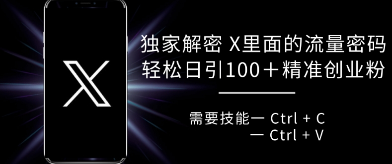 独家代理破译 X 里边的总流量登陆密码，拷贝轻轻松松日引100-云网创资源站