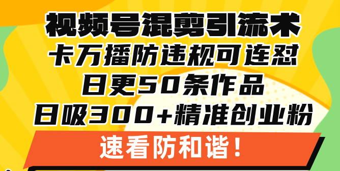 微信视频号剪辑引流技术，500万播放视频引流方法17000自主创业粉，使用方便当日懂得-云网创资源站