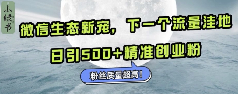 微信生态圈新欢小绿书：下一个流量洼地，日引500 精确自主创业粉，粉丝们品质极高-云网创资源站